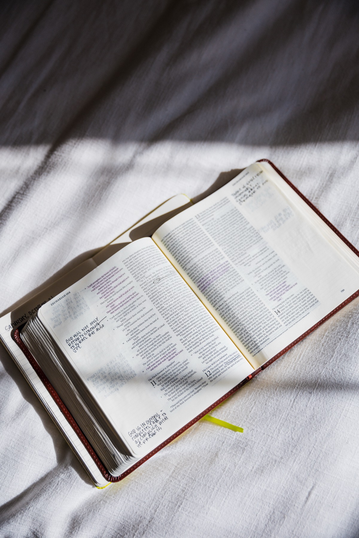 An open Bible in soft morning light